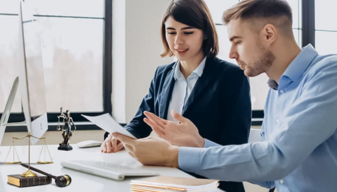litigation expert services