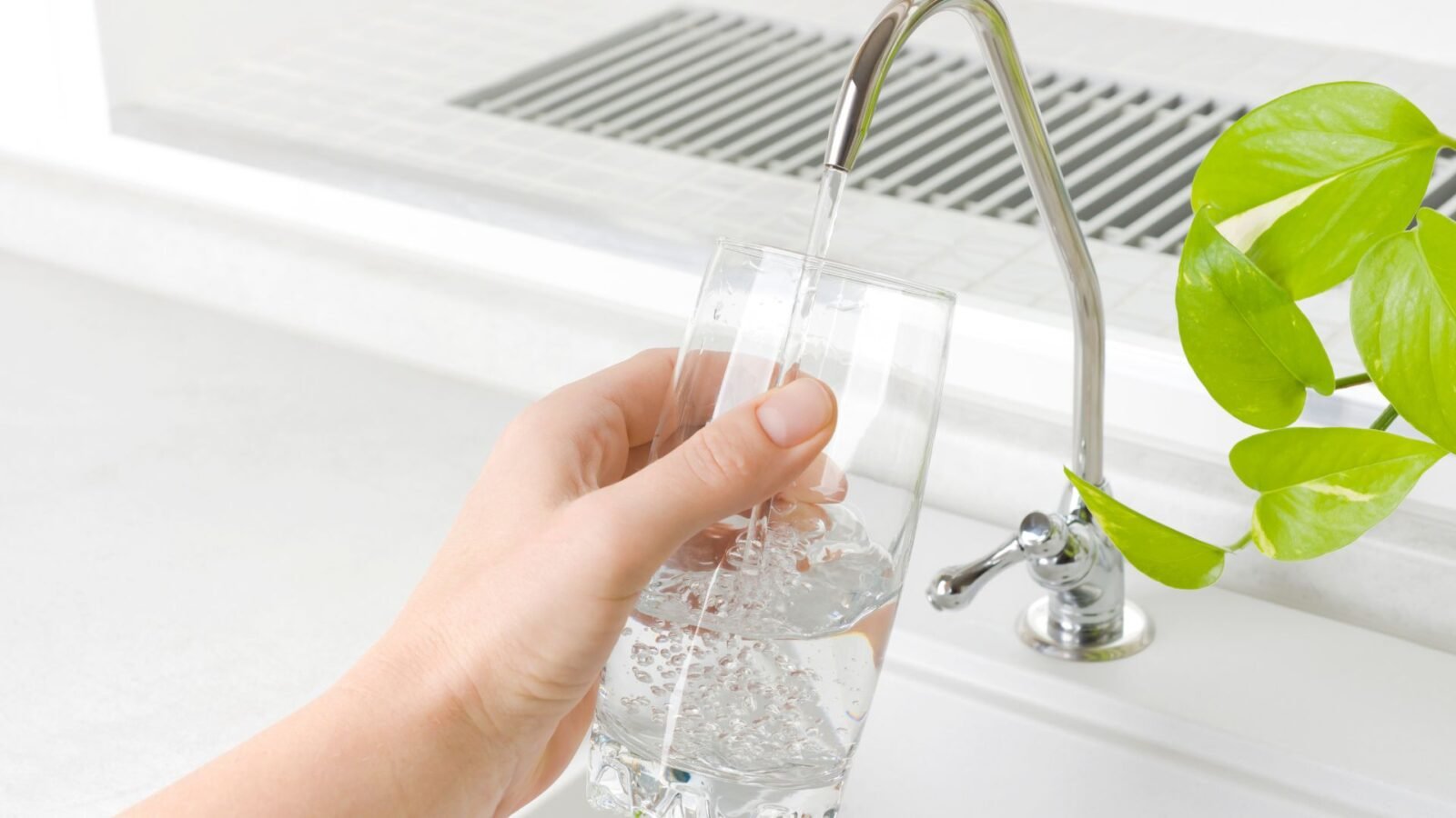 pure water right from the tap